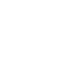Dynavit