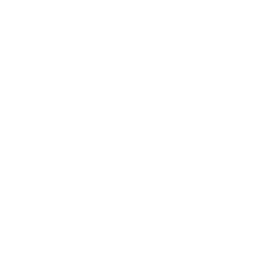 Jolly Joker