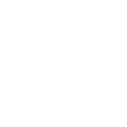 MGS