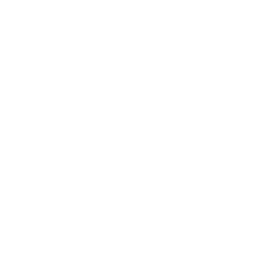 Mobilet