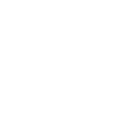 Novonesis