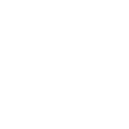 Pozitif